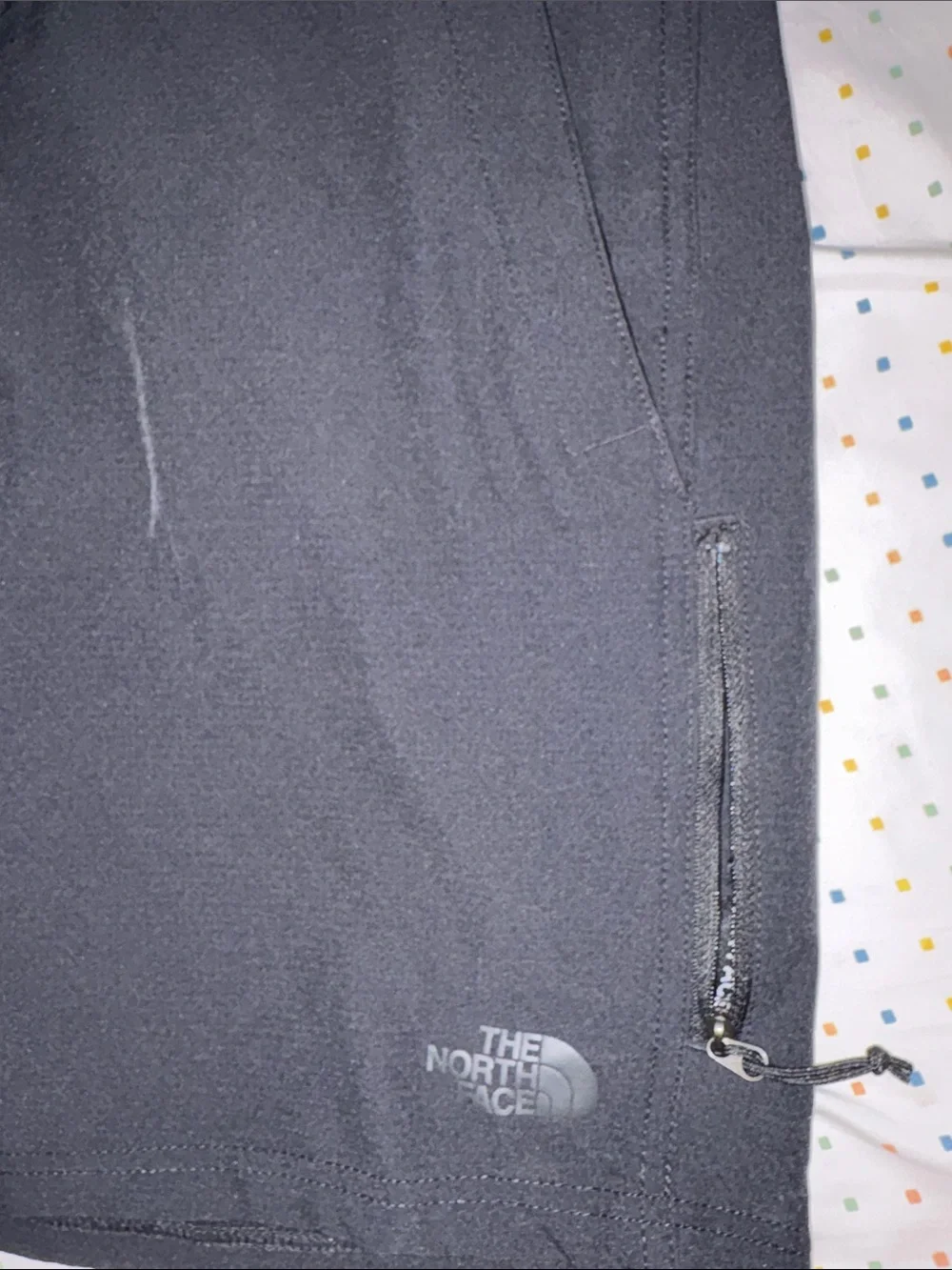 The North Face Men's Shorts